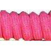 Curly Laces - Neon Pink (1 Pair Pack) Shoelaces from Shoelaces Express